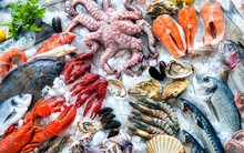 VASEP: Xuất khẩu thủy sản sang Trung Quốc nửa cuối năm 2019 sẽ hồi phục