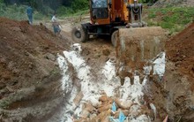 Tiêu hủy hơn 9,5 tấn lợn dương tính với dịch tả lợn châu Phi