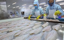 Xuất khẩu cá tra sang Malaysia tăng 25%