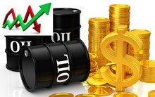 Thị trường ngày 13/9: Dầu tiếp tục “lún” sâu, quặng sắt nhảy vọt 4%, palađi đạt mức cao kỷ lục