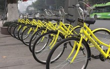 Hà Nội có thể học gì từ Trung Quốc và nước Anh khi phát triển đề án xe đạp công cộng?