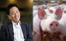 Quản lý hỏi: "1 con heo có 4 chân, vậy 70 thì có bao nhiêu?", ai cũng tranh nhau trả lời, chỉ 1 thực tập sinh duy nhất hỏi lại một câu và nhanh chóng được cấp trên trọng dụng