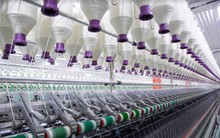 Chủ tịch Fortex (FTM) từ nhiệm sau chuỗi 22 phiên sàn liên tiếp thổi bay 80% giá trị công ty