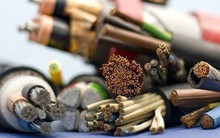 Cadivi (CAV) bị phạt và truy thu hơn 1 tỷ đồng tiền thuế