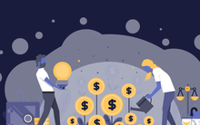 9 điều ai cũng nên làm từ tuổi 20 để trở nên giàu có và hạnh phúc ở tuổi 30