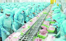 Trầy trật mục tiêu xuất khẩu thủy sản 10 tỷ USD