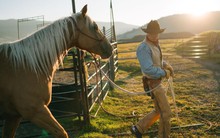 Kỳ lạ giới doanh nhân, CEO đổ xô đi xem huấn luyện ngựa: Đừng nghĩ đây là trò vô bổ, nghệ thuật lãnh đạo đằng sau mới là điều đáng ngẫm!