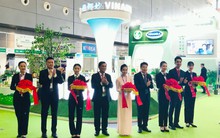 Khai mở thị trường Trung Quốc, cổ phiếu Vinamilk bất ngờ "sáng" nhất thị trường chứng khoán