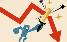 BĐS DPV bán sạch 31 triệu cổ phiếu FIT, cắt lỗ sâu sau hơn 2 năm làm cổ đông lớn