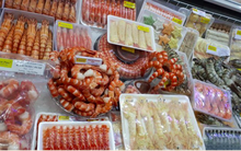 Minh Phú (MPC): Sắp hoàn thiện nhà máy mới ưu tiên phục vụ EU và Trung Quốc, cổ phiếu vẫn về đáy 2 năm