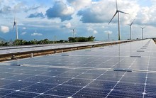 Trung Nam huy động thành công 3.045 tỷ đồng trái phiếu cho dự án điện mặt trời