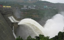 Giá khởi điểm gần gấp đôi thị giá, phiên đấu giá cổ phiếu Vĩnh Sơn – Sông Hinh bị hủy do không có người mua