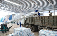 Chính thức áp dụng biện pháp thuế tự vệ đối với phân bón DAP và MAP nhập khẩu vào Việt Nam