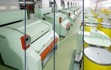 Bị cắt margin, "game" cổ phiếu bị vỡ, nhà sản xuất sợi cotton FTM "đo sàn" 14 phiên liên tiếp