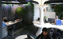 Không gian làm việc độc đáo, cây xanh 'phủ' khắp nơi