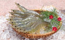 Tăng từ 5.000 lên trên 30.000 đồng, Camimex (CMX) triển khai phát hành 13 triệu cổ phiếu chào bán cho cổ đông hiện hữu