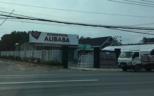 Nhận diện ông 'trùm' địa ốc Alibaba