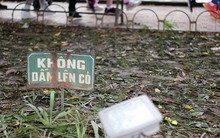 Vườn hoa Hồ Gươm bị "san phẳng" sau đêm Giao thừa: "Thực sự, tôi quá xấu hổ!"