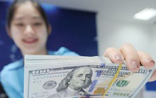 Sau gần một năm, Ngân hàng Nhà nước nâng giá mua USD