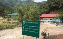 Bên trong khu sinh thái 'xẻ thịt' đất rừng Sóc Sơn sau lệnh cưỡng chế