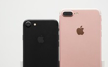 Apple chính thức ngừng bán iPhone 7, iPhone 8