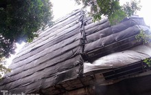 Lên phương án 'cắt ngọn' 3 tầng cao ốc sai phép cạnh Hồ Gươm