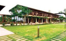 Huyện Sóc Sơn nêu lý do việc cưỡng chế vi phạm "xẻ thịt" đất rừng Sóc Sơn đang rất chậm