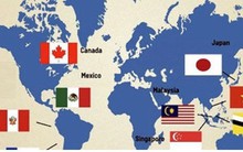 Hiệp định CPTPP có hiệu lực với Việt Nam từ 14/1/2019