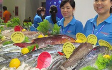 Chính thức mở cửa CPTPP