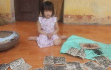 Cuộc sống cạnh bãi rác lớn nhất Hà Nội: "Trong xóm có đám cưới chỉ đến uống chén rượu, không dám ăn"