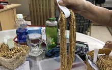 Vụ bán 230 lượng vàng: Tạm giữ hình sự 1 đối tượng