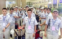 Năm 2019, có thể đi nước nào làm việc lương tốt nhất?