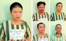 Giả hồ sơ xin việc, “rút ruột” hàng tỷ đồng của công ty vận tải