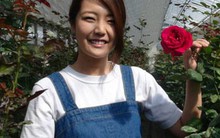 Làm giàu từ hoa hồng organic