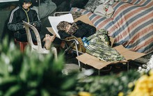 Sợ bị trộm giữa đêm, người dân Hà Nội dựng lều, trùm chăn canh đào quất trên phố