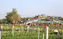 Chưa Tết, làng hoa lớn nhất miền Tây đã nườm nượp khách