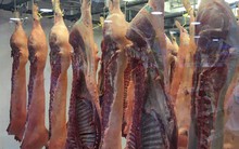 TP HCM quyết đóng cửa tất cả lò mổ heo thủ công trong năm nay