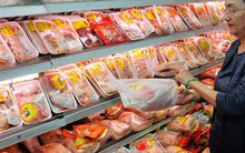 Giá gà ta thấp hơn gà công nghiệp