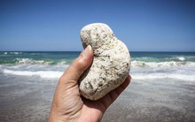 Cục đá nhìn tầm thường này được bán với giá 330 triệu/kg và đây là lý do đằng sau