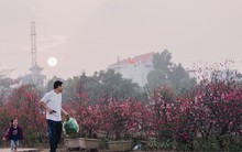 Chùm ảnh: Hà Nội 27 Tết đẹp dịu dàng, mộc mạc và ấp áp trong nắng Xuân sớm