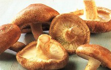 Nấm hương ngon thơm cực bổ nhưng đừng quên những lưu ý này vì một cái Tết vui khỏe