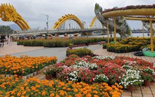 Cầu Vàng "đọ dáng" cầu Rồng ở đường hoa bên bờ sông Hàn