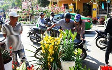 Phố cổ Hội An nhộn nhịp ngày cuối năm