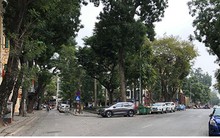 Hình ảnh đáng mơ ước với những con đường "ám ảnh" ở Thủ đô