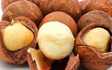 Sự thật về loại hạt nhiều gia đình bày trong khay mứt Tết: Vì sao lại là đắt nhất thế giới