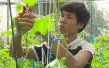 Từng đội bánh bán dạo, 9X trở thành ông chủ trại dưa lưới “khủng”