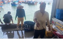 Cá bớp đắt hàng ngày Tết