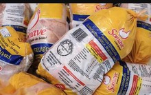 Trung Quốc áp thuế chống bán phá giá với thịt gà đông lạnh của Brazil