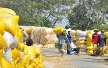 Xuất khẩu gạo đứng đầu thế giới, dân vẫn nghèo