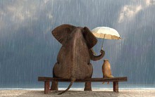 Không có thứ lòng tốt mang tên "nghĩa vụ, hiển nhiên": Hãy mài sắc lòng tốt của bạn nếu không muốn bị người khác lợi dụng